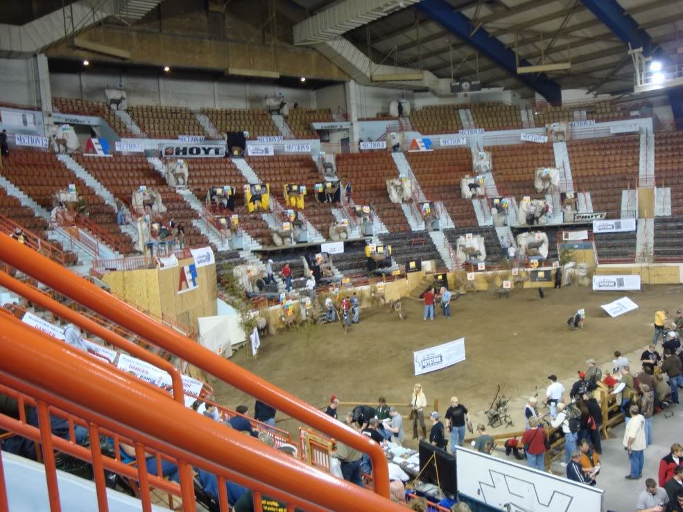 Eastern Sports Show Harrisburg Mount Pics Archery Talk Forum